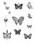 Blissful Butterflies Tattoo Bundle