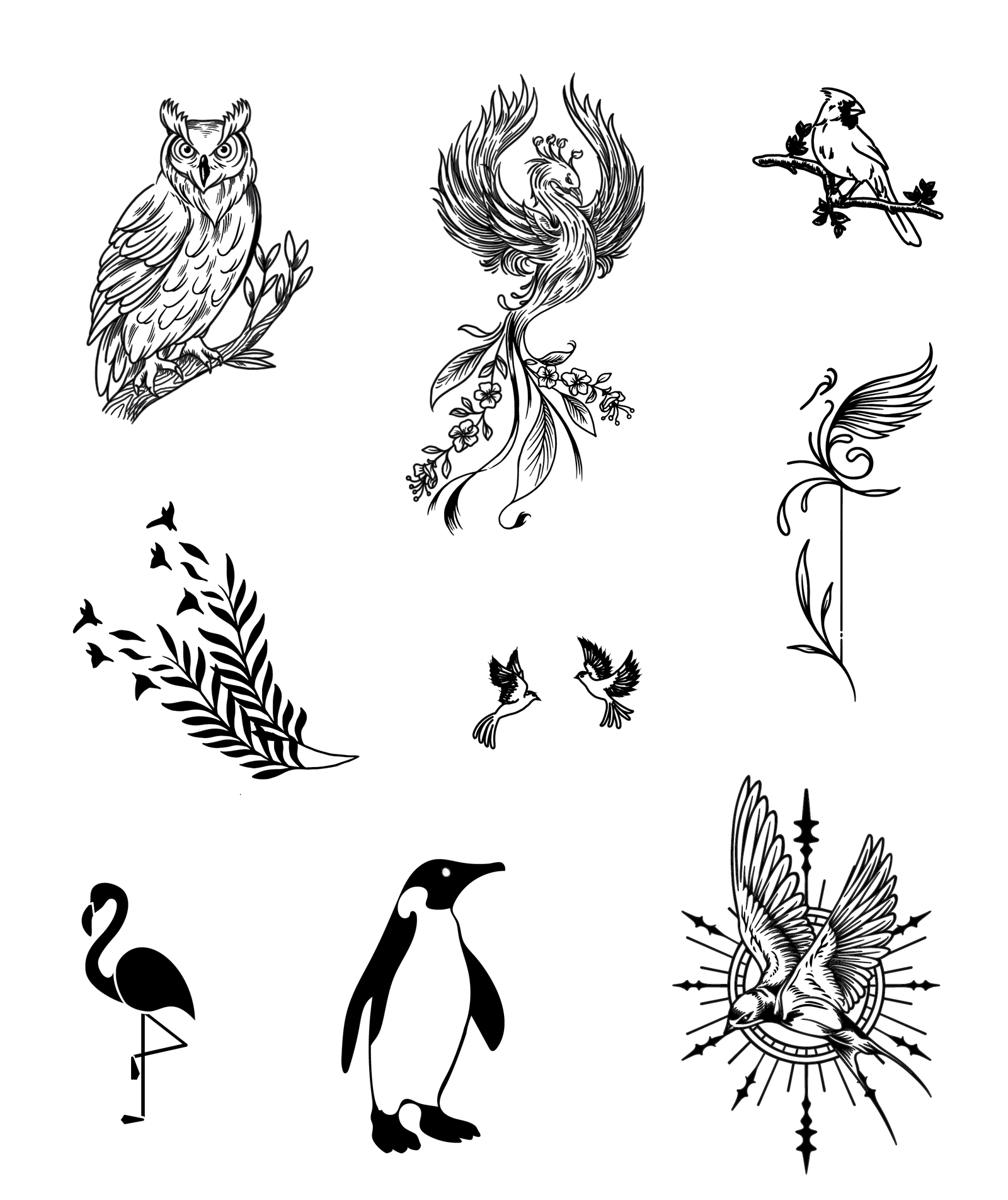 Avian Symphony Bundle