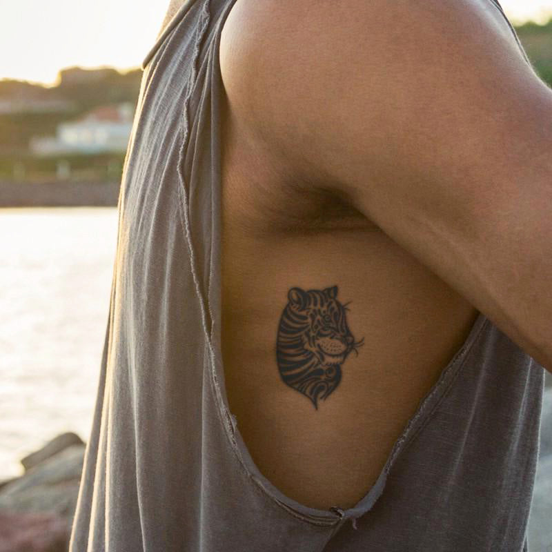 Majestic Cats Bundle