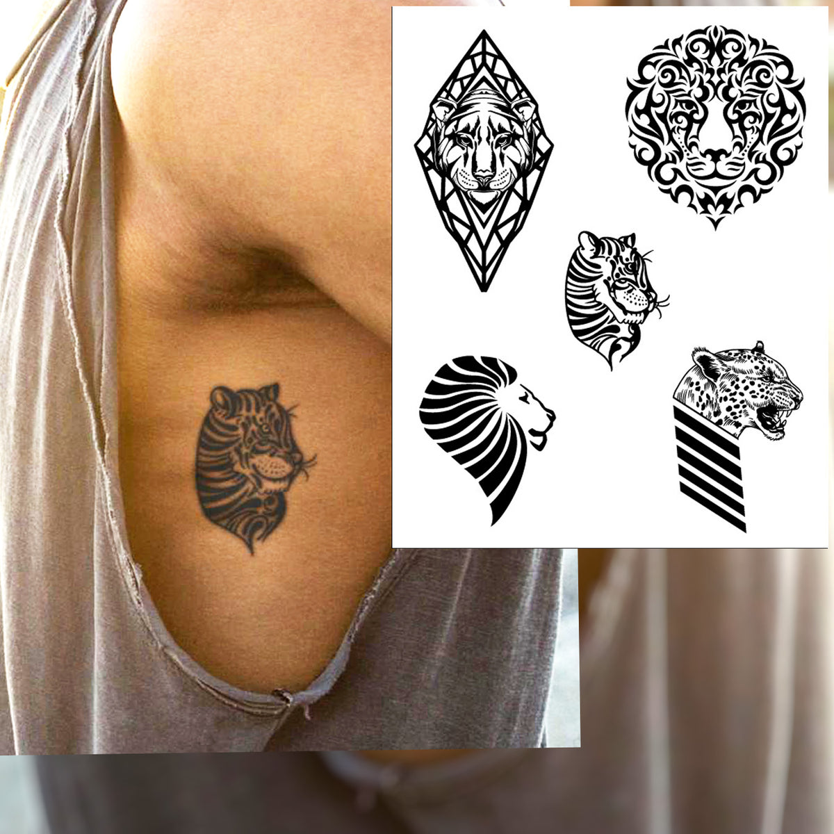 Majestic Cats Bundle