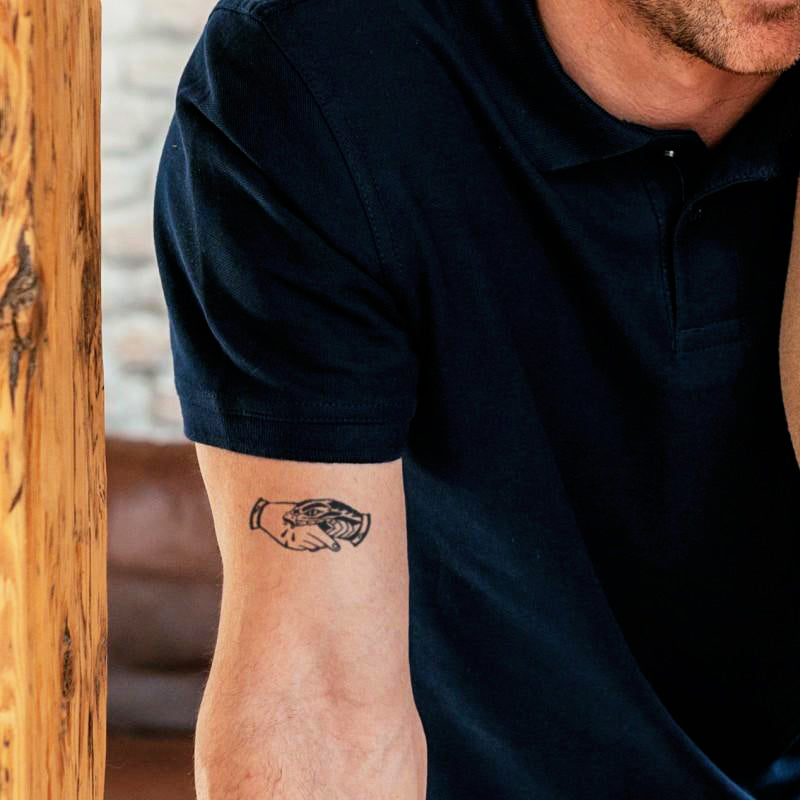 Viper Visions Bundle