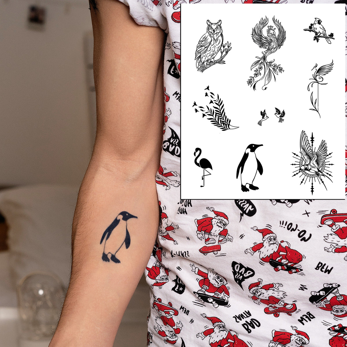 Avian Symphony Bundle