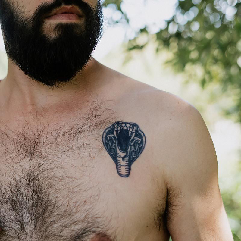 Viper Visions Bundle