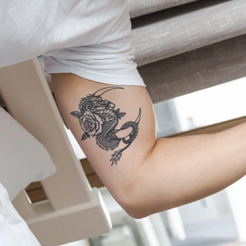 Mythic Dragon Bundle