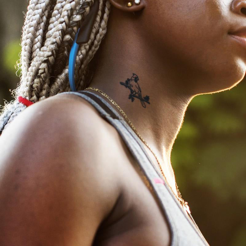 Avian Symphony Bundle