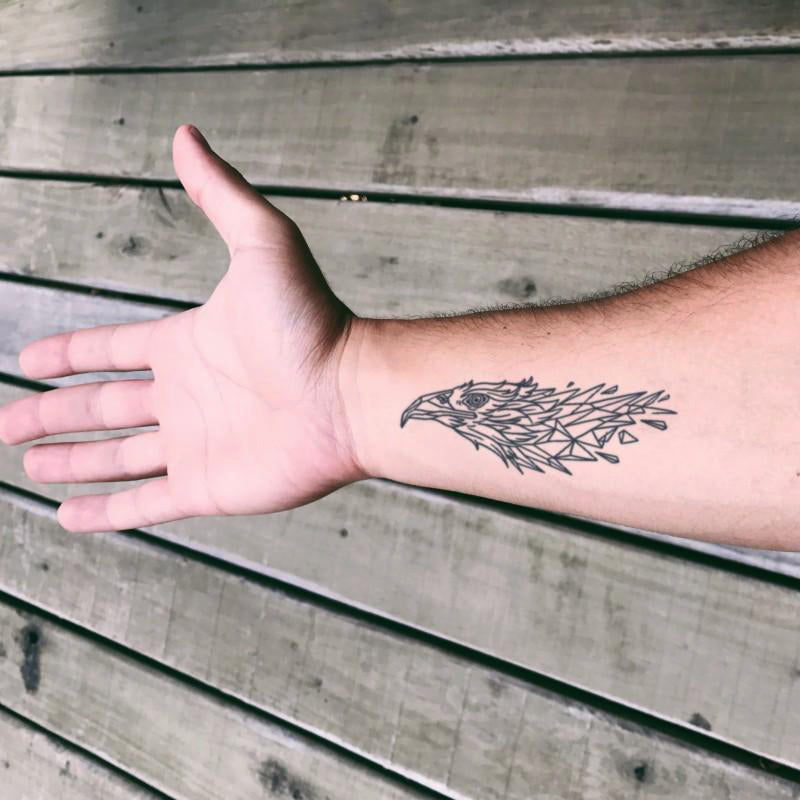 Geo Zoo Tattoo Bundle