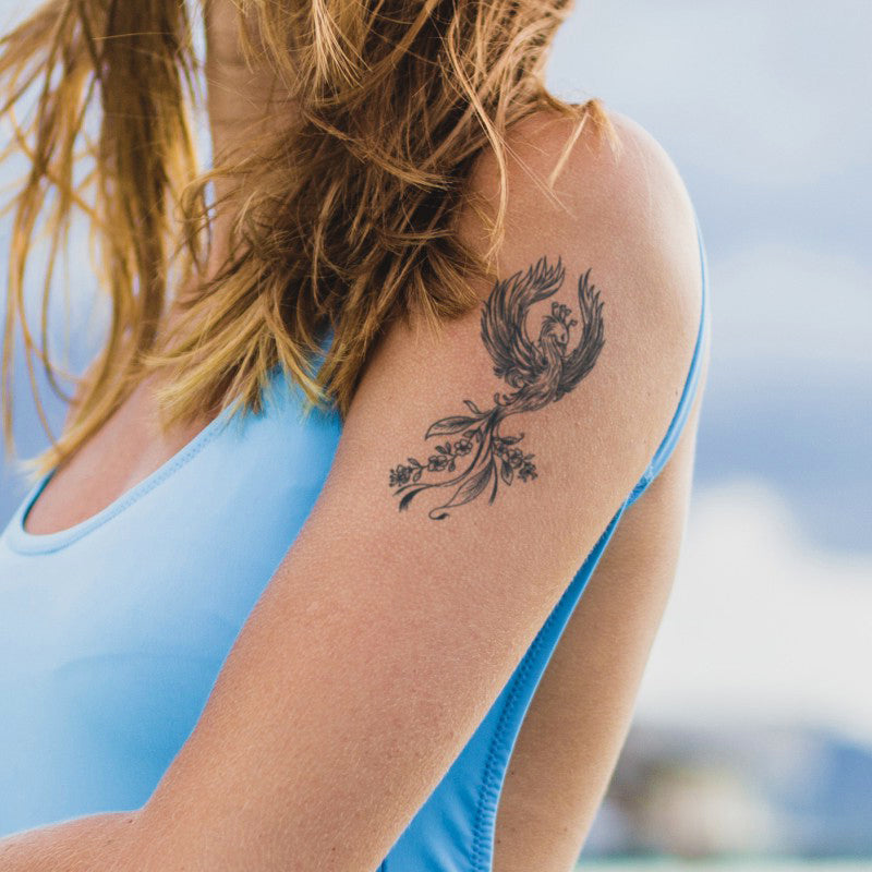 Avian Symphony Bundle