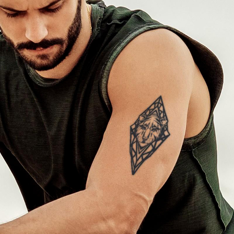 Majestic Cats Bundle