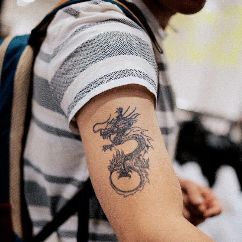 Mythic Dragon Bundle