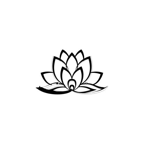 Indian lotus