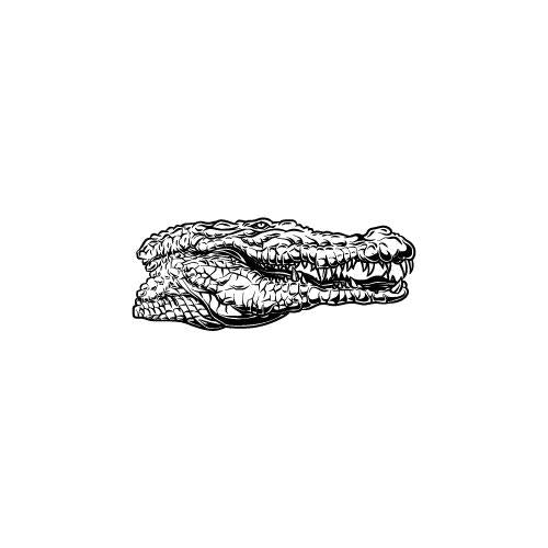 Gator