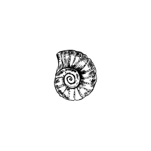 Nautilus