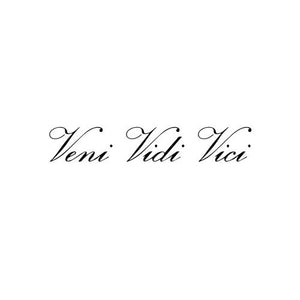 Veni Vidi Vici Temporary Fake Tattoo Sticker set of 2 