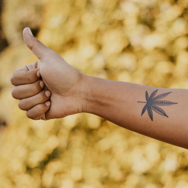 Marijuana leaf tattoo hand poked on the pelvis.